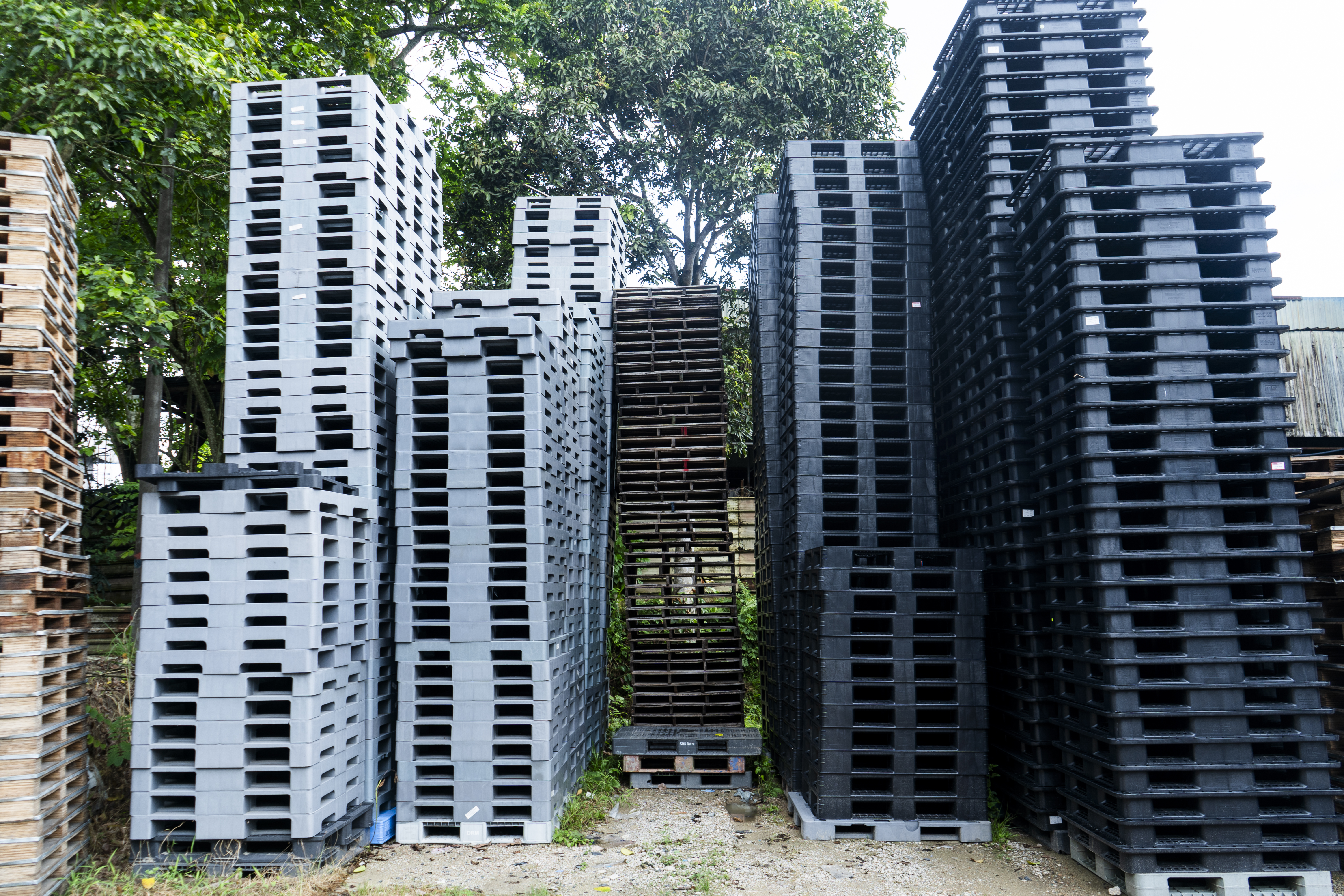 Plastic Pallets