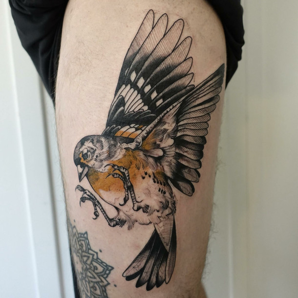 NORAISON TATTOO sera en guest du 26 au 30 juin 2018.