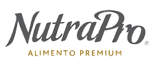 descarga (1)_edited.png