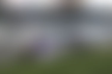 Max Beyore Victorious in OSCAAR Modified Autumn Colours Classic