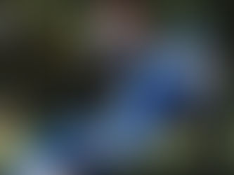 Experts Predict There Will Be More Weddings Than Ever Before Coming Up In 2021