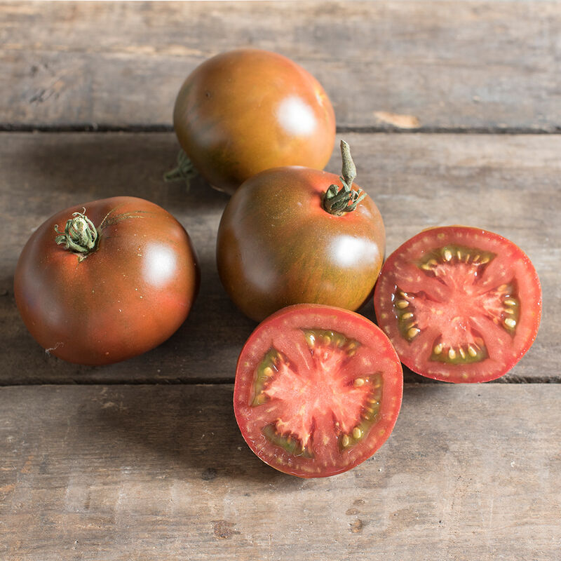 Black Prince Slicing Tomato Seedling