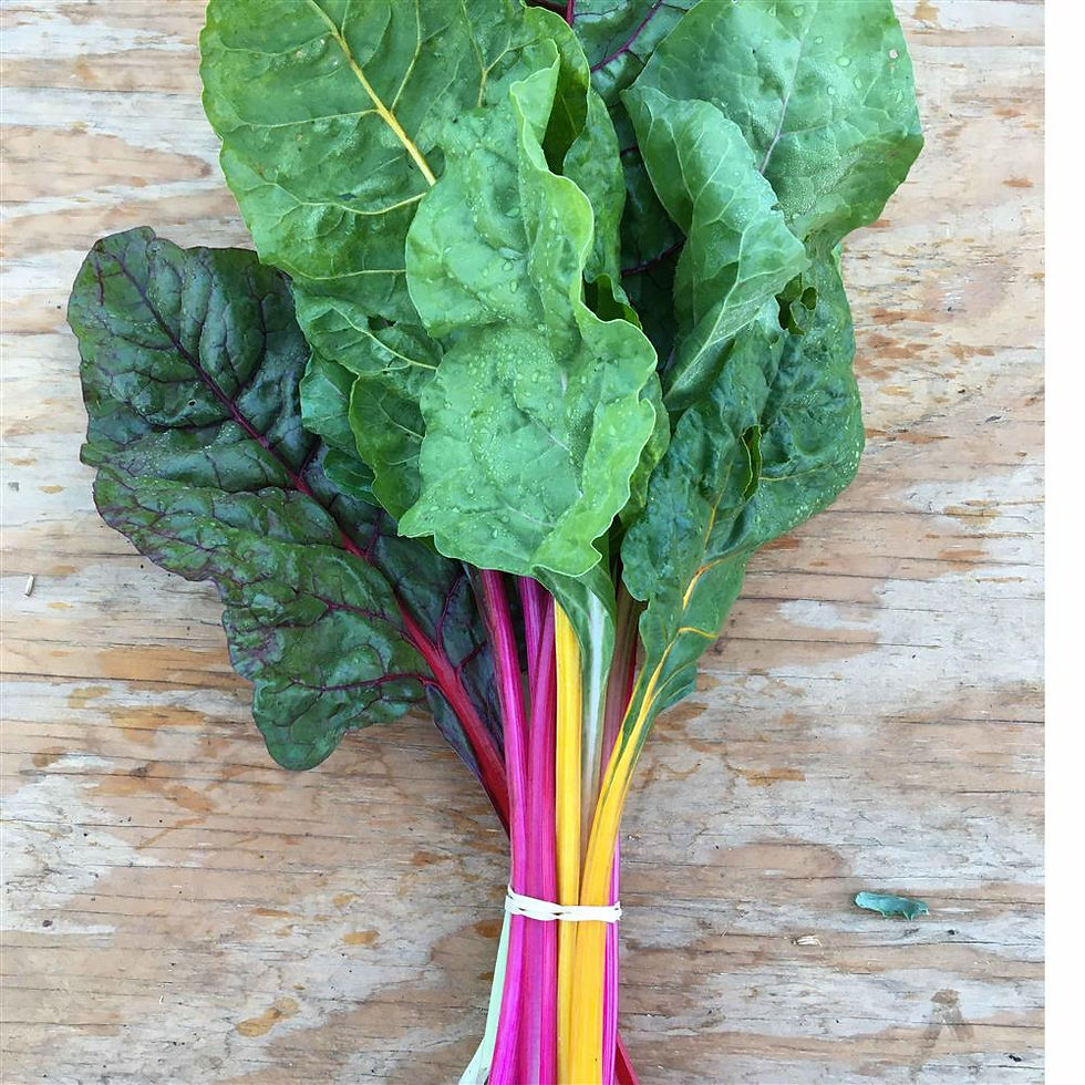Chard - bunch