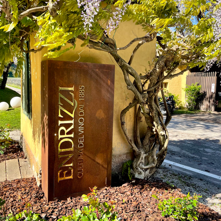 Tour and tasting at the Endrizzi Winery / Trentino - Italy