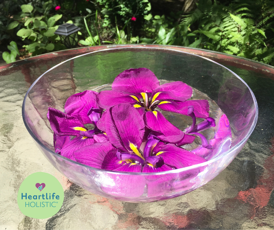 Fresh iris blossoms floating in spring water, placed in natural sunlight.