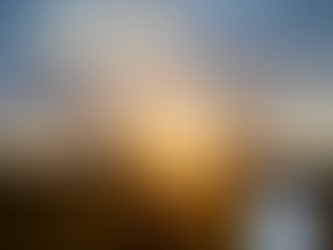 DBT Distress Tolerance Skills: An Overview