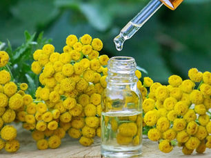 Helichrysum's powerful vibrational energy helps those who carry deep emotional scars, fostering resilience, self-compassion, and peace.