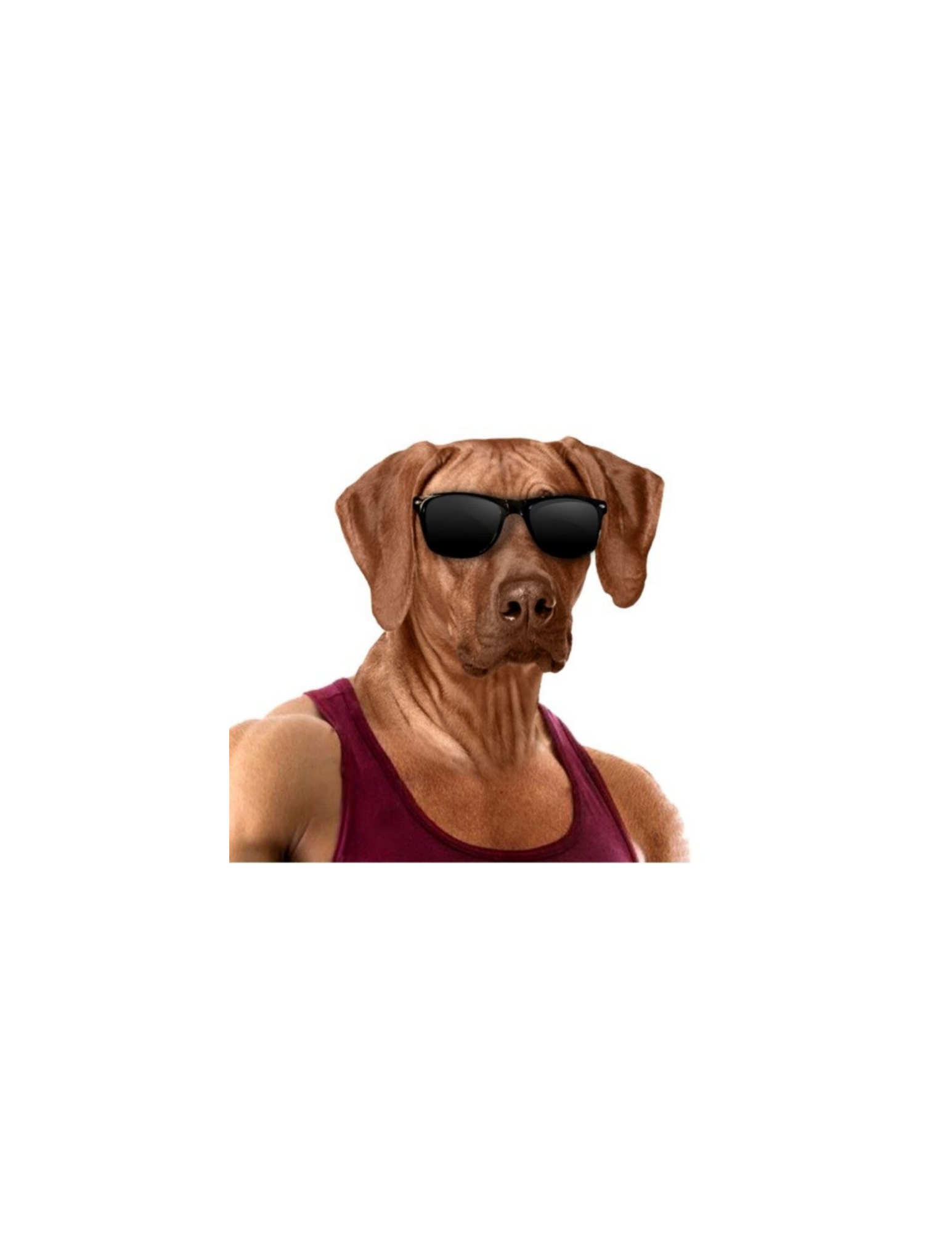 Writer: Giovanni Vines