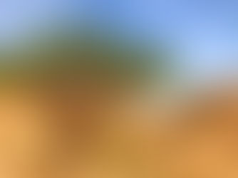 Frankincense, referred to as the "King of Oils" connects the earthly with the divine.