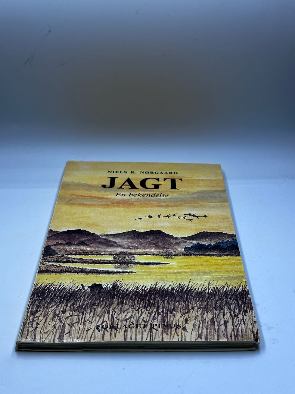Miniaturebillede: Jagt (Niels R. Nørgaard) Pre-owned,
