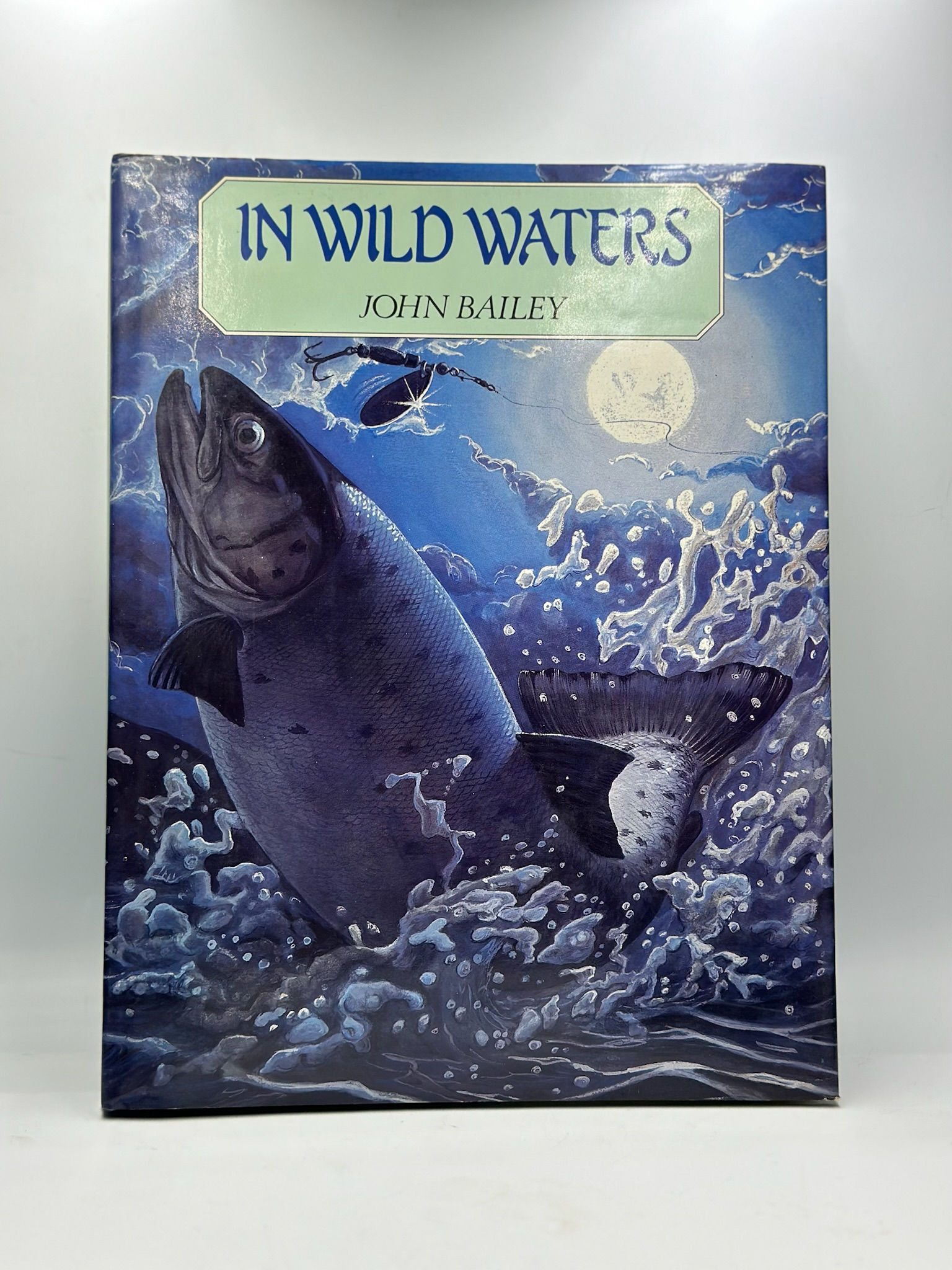 In Wild Waters (John Bailey) Pre-owned,