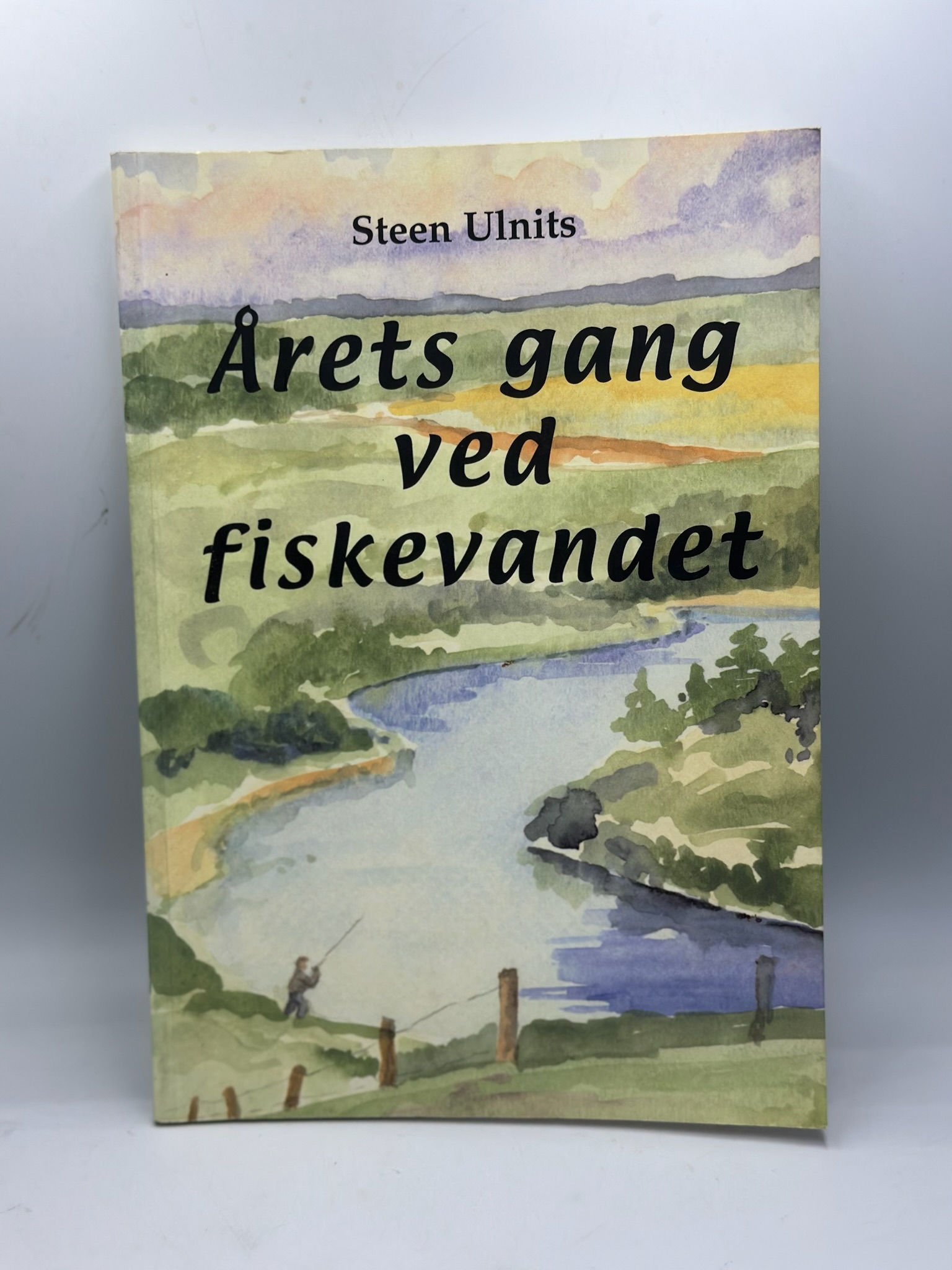 Årets gang ved fiskevandet (Steen Ulnits) Pre-owned,