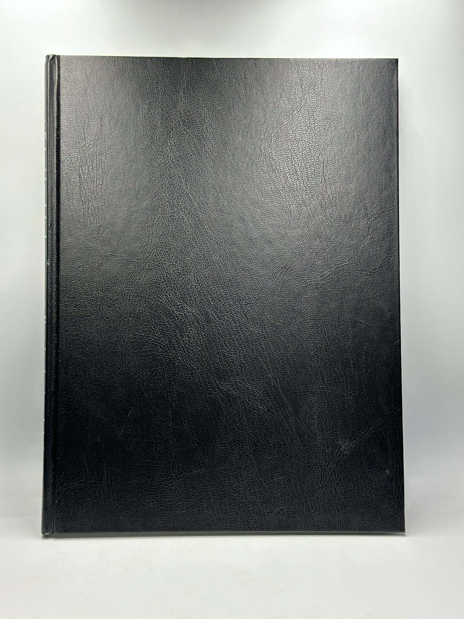 Angling in the lærdal river - Sportsfiske i lærdalselven (John Bruvoll) Pre-owne