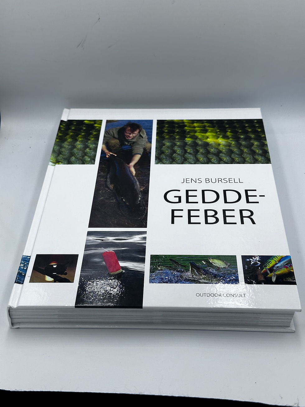 Miniaturebillede: Gedde Feber (Jens Bursell) New Book
