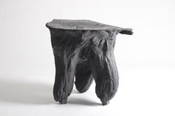 STOLIČKA_Branislav_Laho