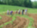 Get Started Land-seekers 2.jpg
