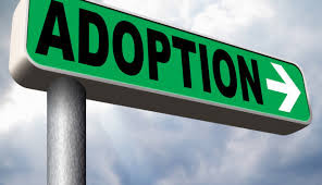 Adoption Credit