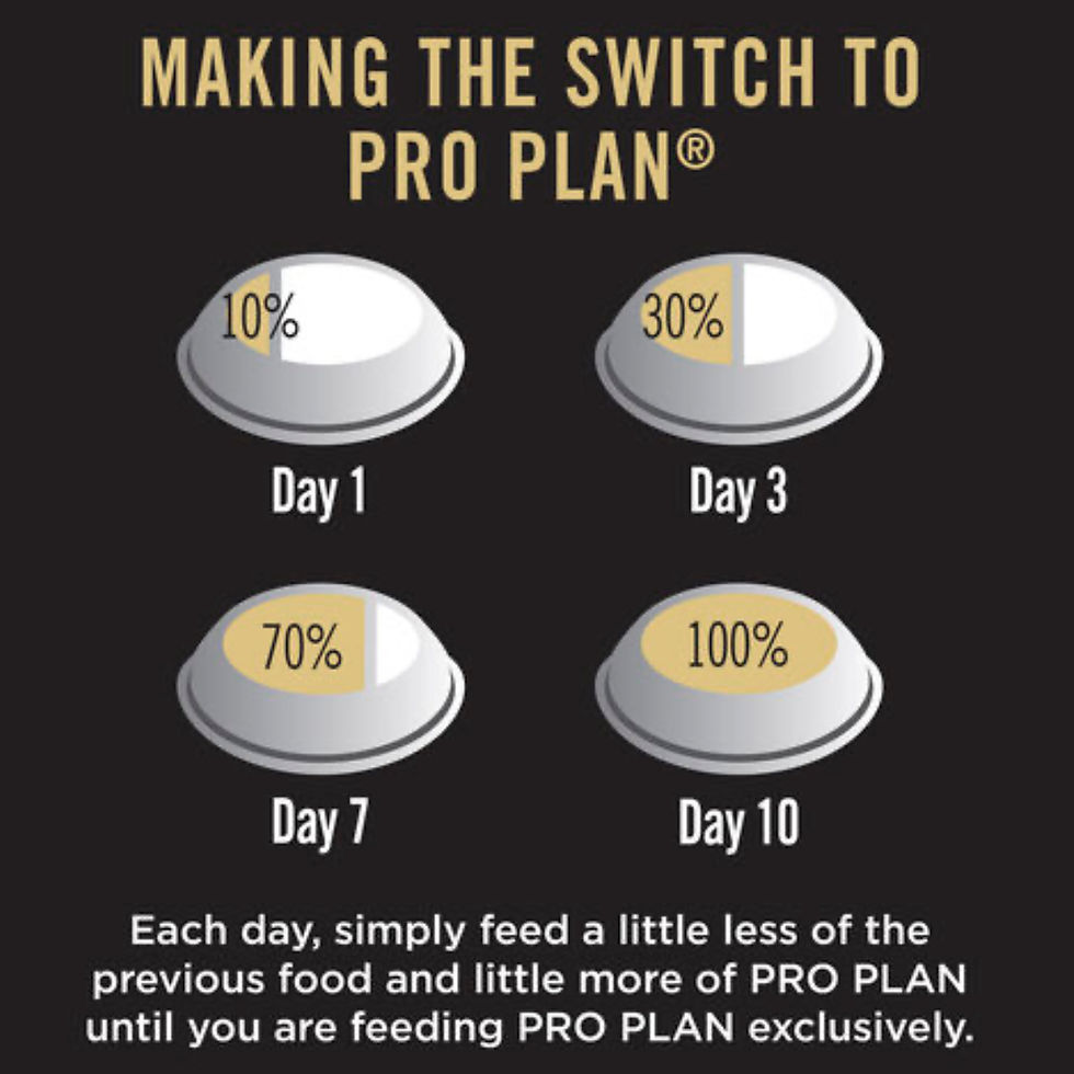 Thumbnail: PRO PLAN Puppy Sensitive Skin & Stomach Dry Dog Food