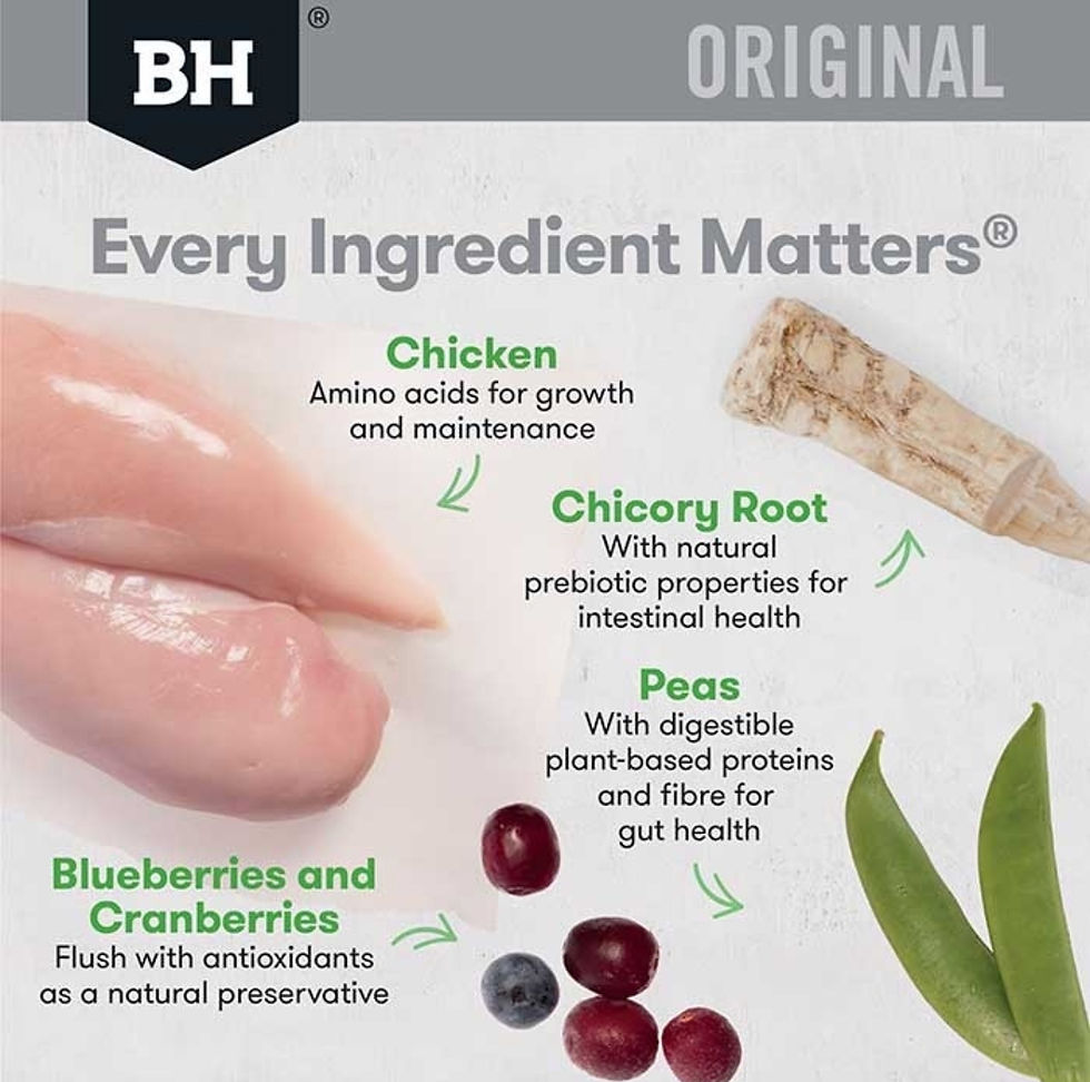 Thumbnail: BLACK HAWK ORIGINAL LARGE BREED DOG CHICKEN & RICE DRY FOOD