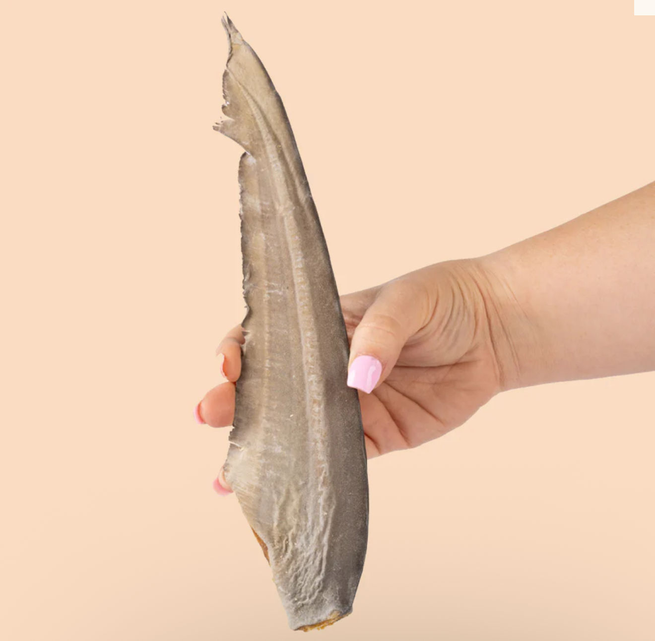 GUMMY SHARK TAIL (2 PACK)