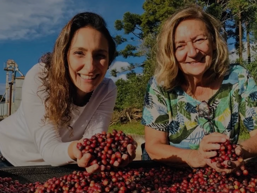 Specialty Coffee, Reimagined: From Brazilian Origins to Fine Dining
