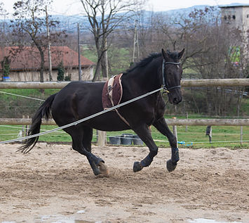 DSC_2179.jpg