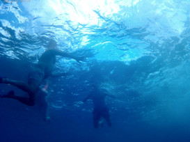 Loyalty Charter snorkelling adventure