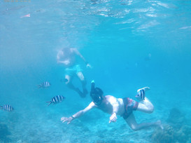 Loyalty Charter snorkelling adventure