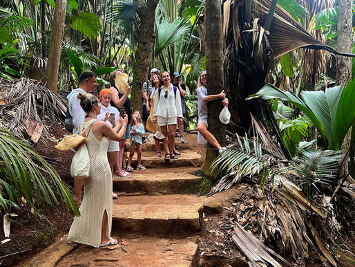 Uncover the Hidden Gems: Exploring Praslin Island's Best Hiking Trails