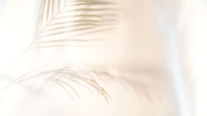 Nid' Aigle Lodge website background image