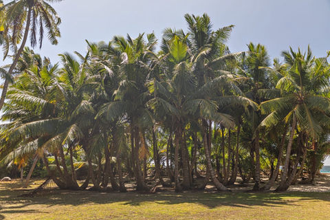 Sister Island by Loyalty Charter
