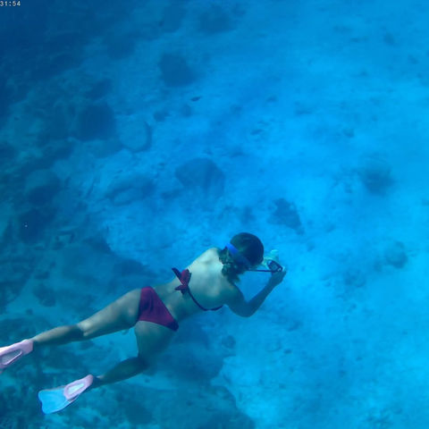 Loyalty Charter snorkelling adventure
