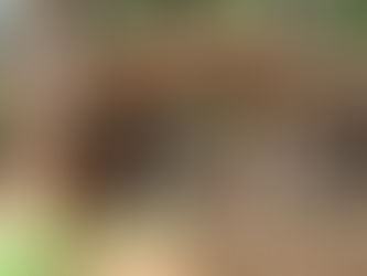 Top 5 Things to Do in Praslin Island, Seychelles