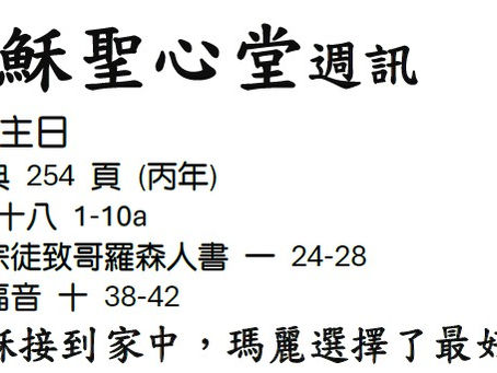 常年期 第十六主日週訊