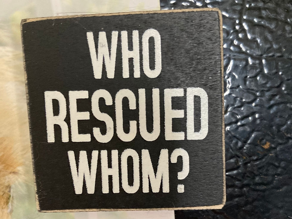 a refrigerator magnet with the words "Who rescued whom?"