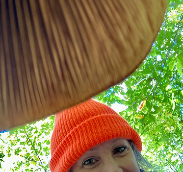 My presentation image