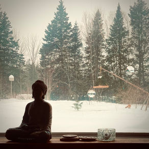 Good Medicine: Notes from the North Woods