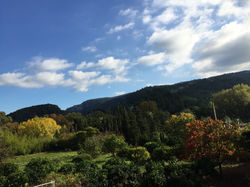 Vista desde la piscina