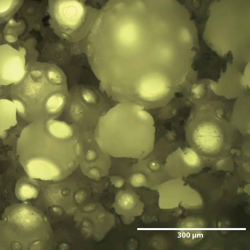 Foam mesostructure (Image: Max Monn)
