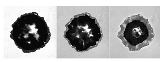 9415_fra_Fig3.tiff
