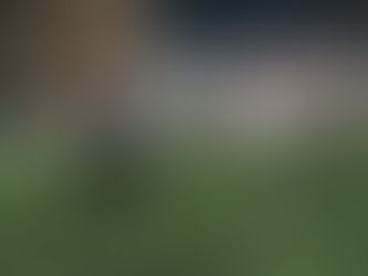 How Mental Toughness Separates Good Players from Great Ones