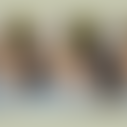 lovely and playful wolfdog puppies