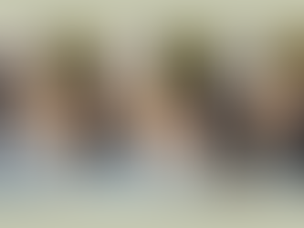 lovely and playful wolfdog puppies