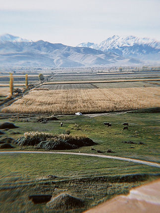 classicu 2024-09-19 094534.498.jpeg