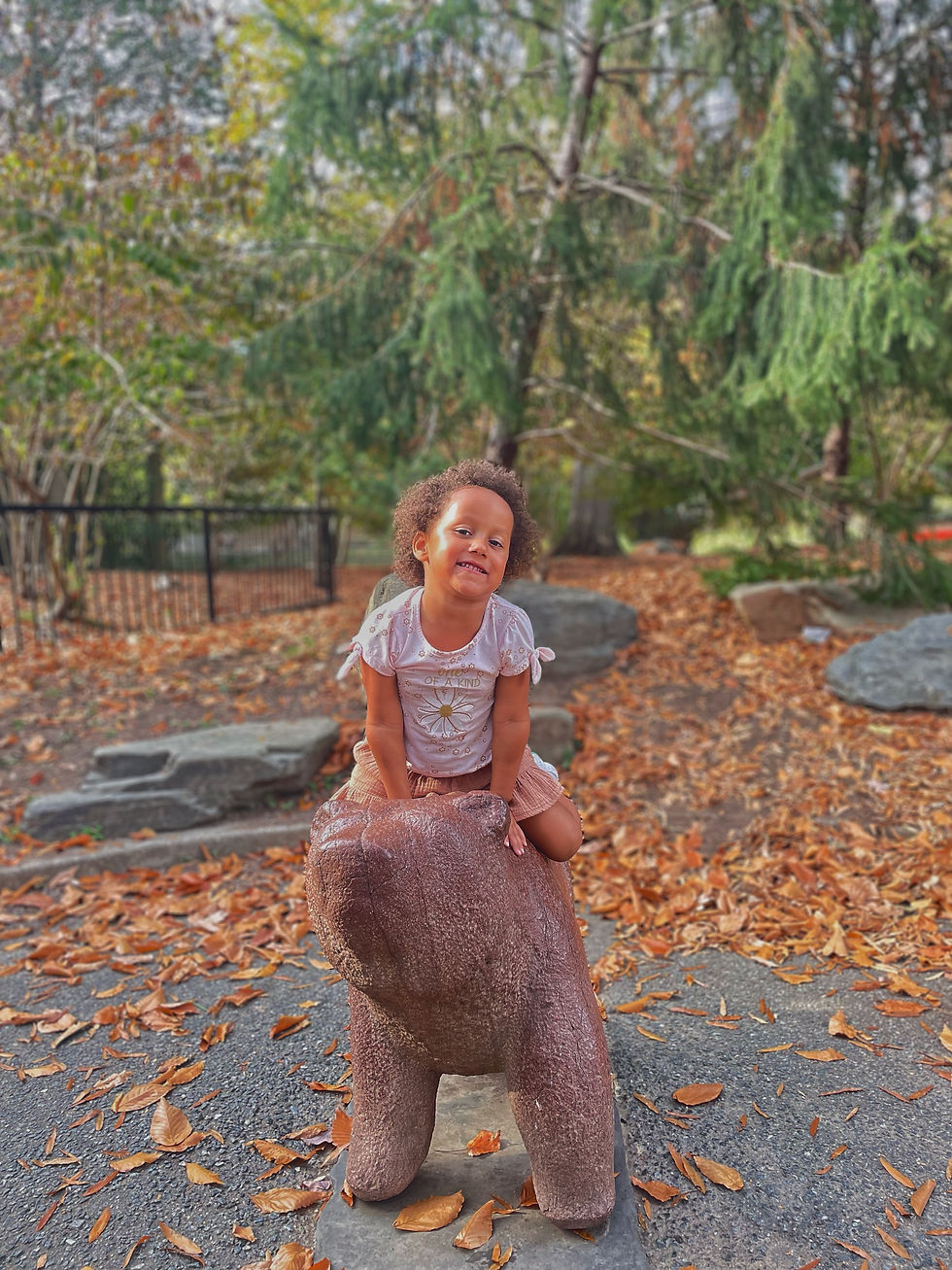Fun and Educational Things to Do in D.C. With Kids