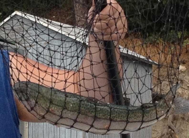 FISHING LAKE ARROWHEAD NEWS