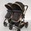 Thumbnail: Multifunctional Twin Stroller 