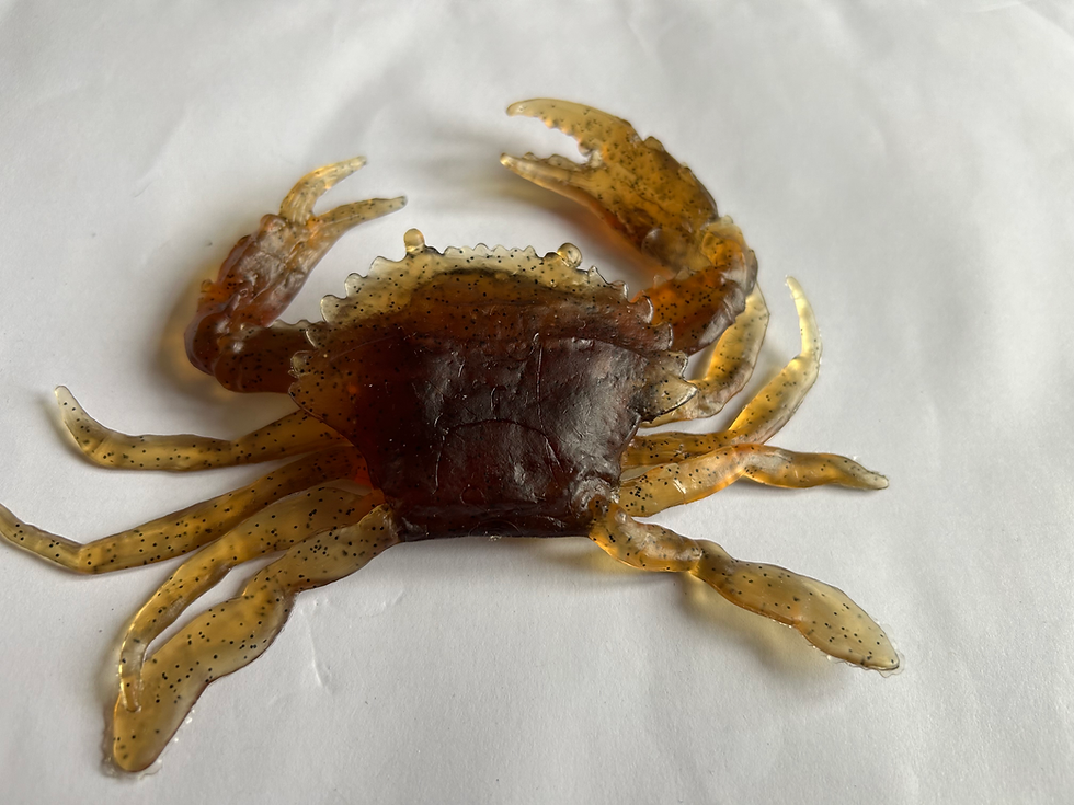 The large, tough , cheap, AliExpress Crab lure I mentioned