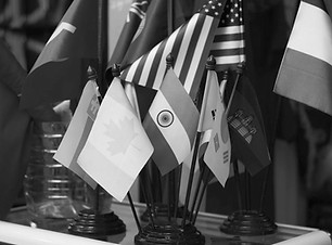 free-photo-of-flags-of-countries_edited.jpg