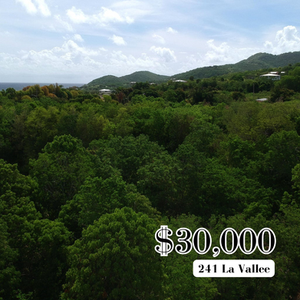 241 La Vallee